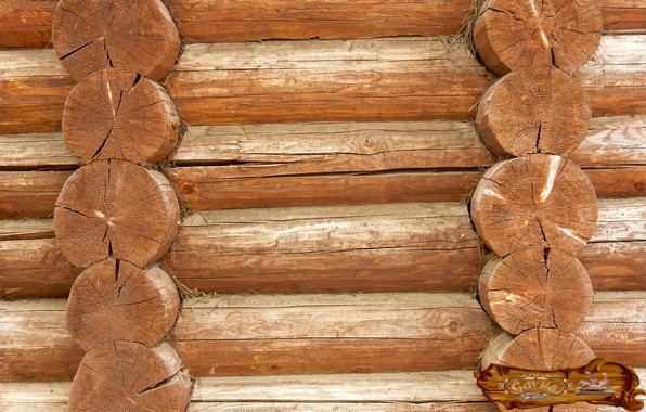 Баня из бревна: плюсы и минусы, этапы постройки - «Все о Сауне и Банях»